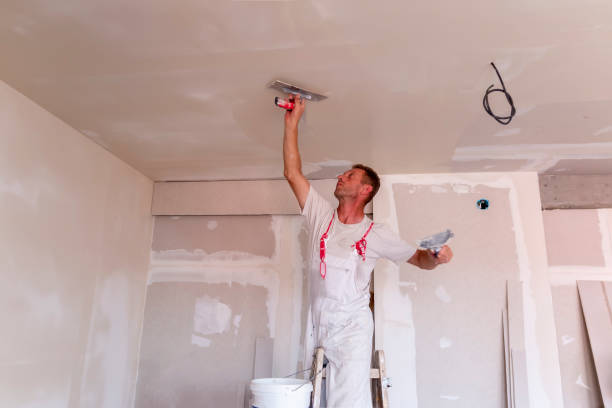 Best Custom Drywall Designs  in Boerne, TX